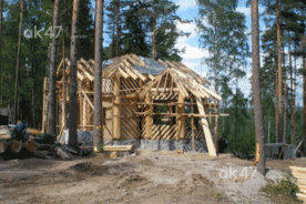 Территория. Июль 2008