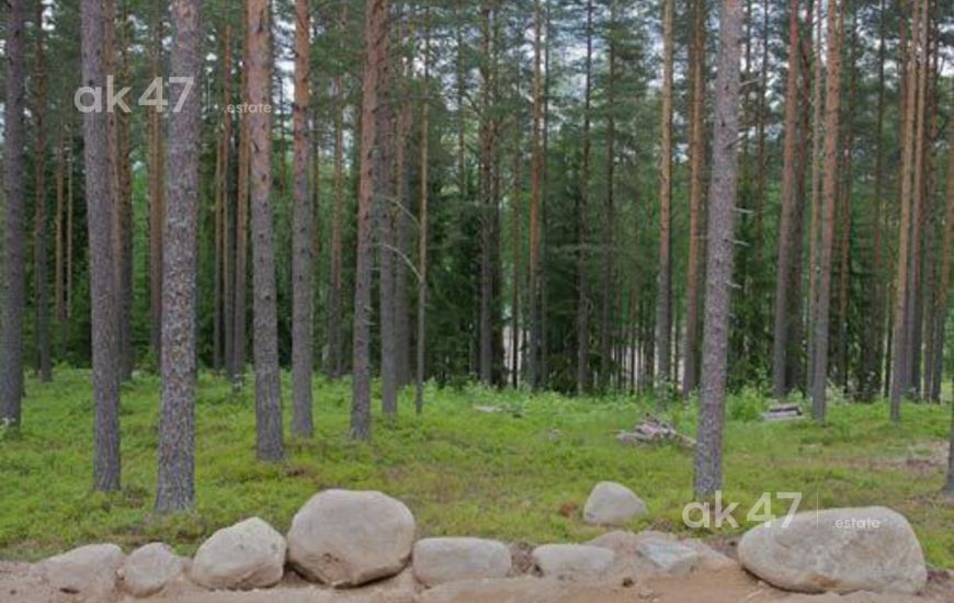 Солнечный берег
