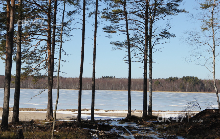Liikola Club
