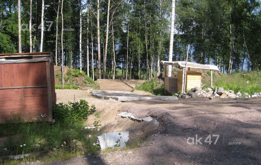 Солнечный берег