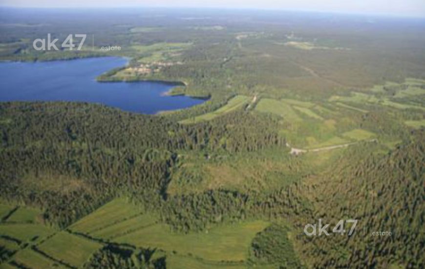 Три берега