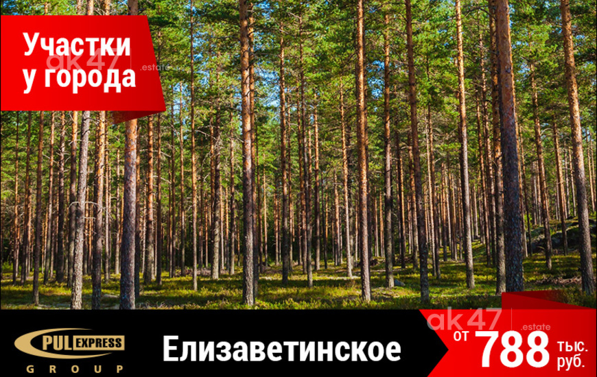 Елизаветинское