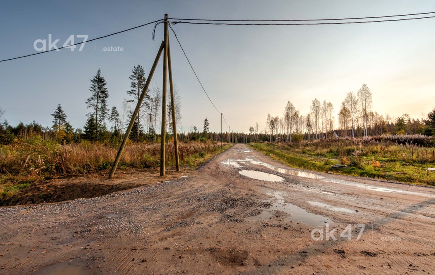 Елизаветинское