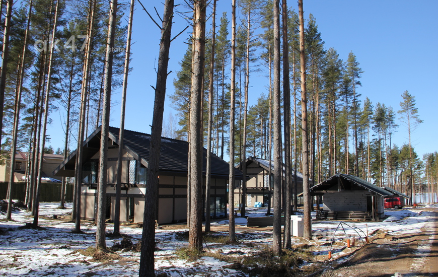 Liikola Club