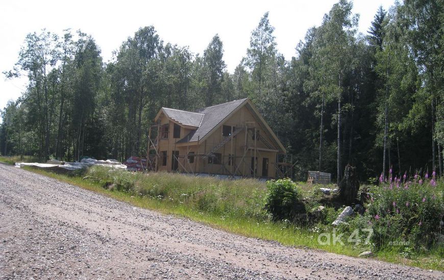 Солнечный берег