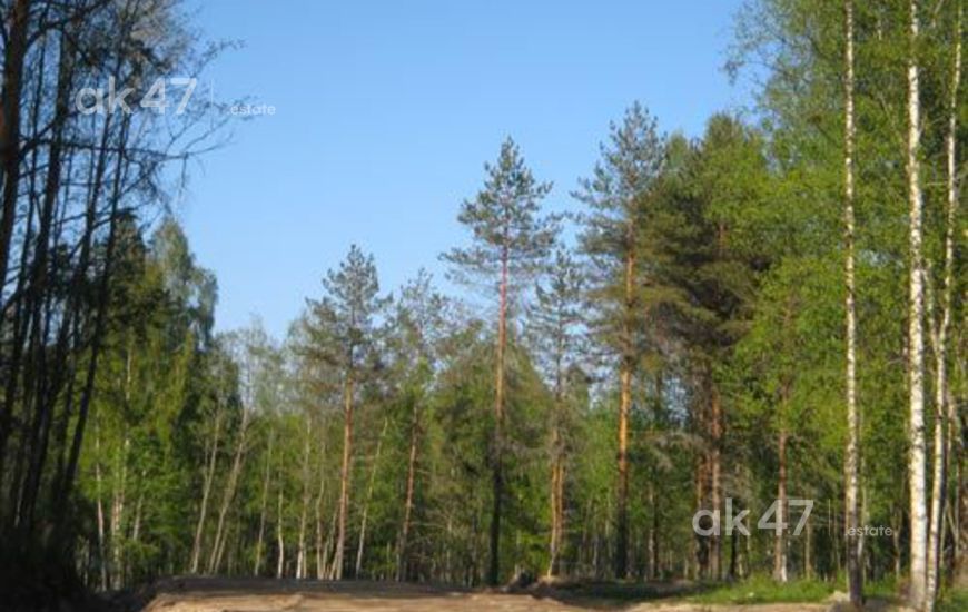 Солнечный берег