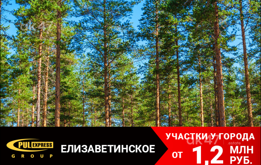Елизаветинское