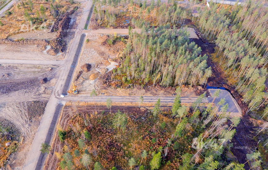 Елизаветинское