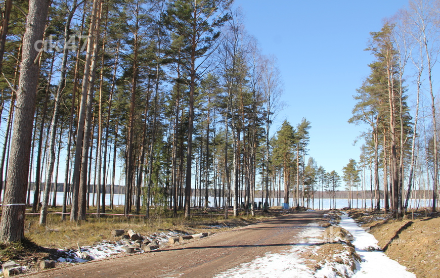 Liikola Club