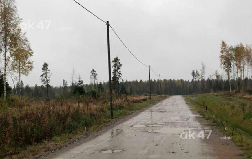 Елизаветинское