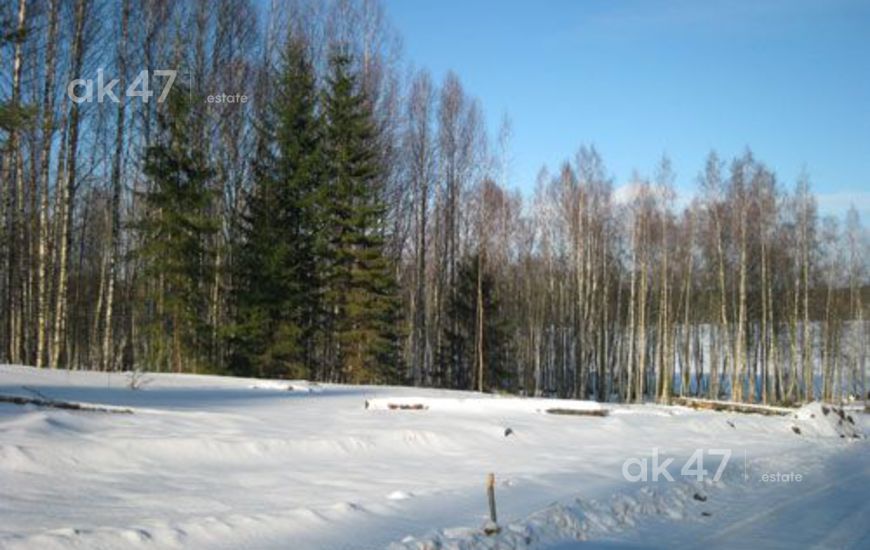 Солнечный берег