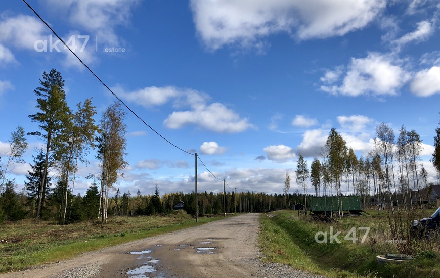 Елизаветинское