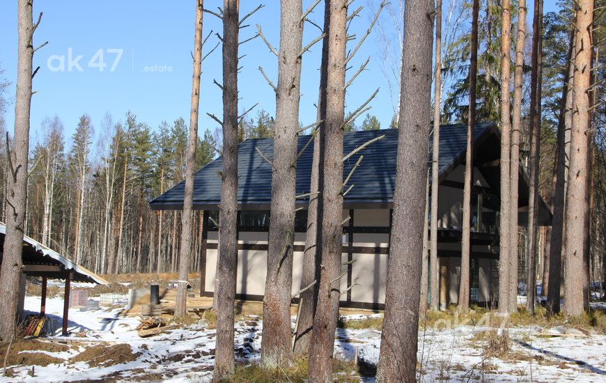 Liikola Club