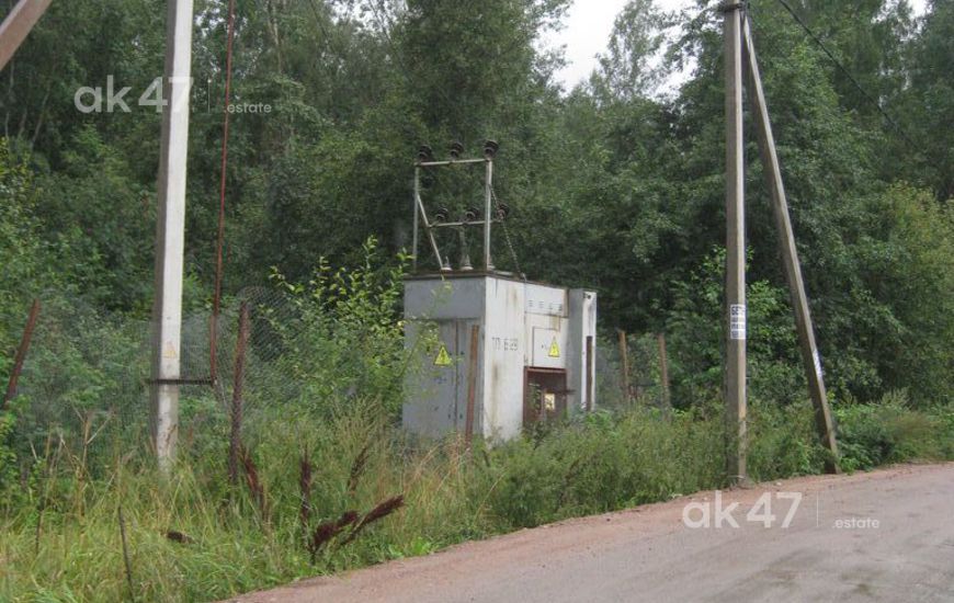 Солнечный берег