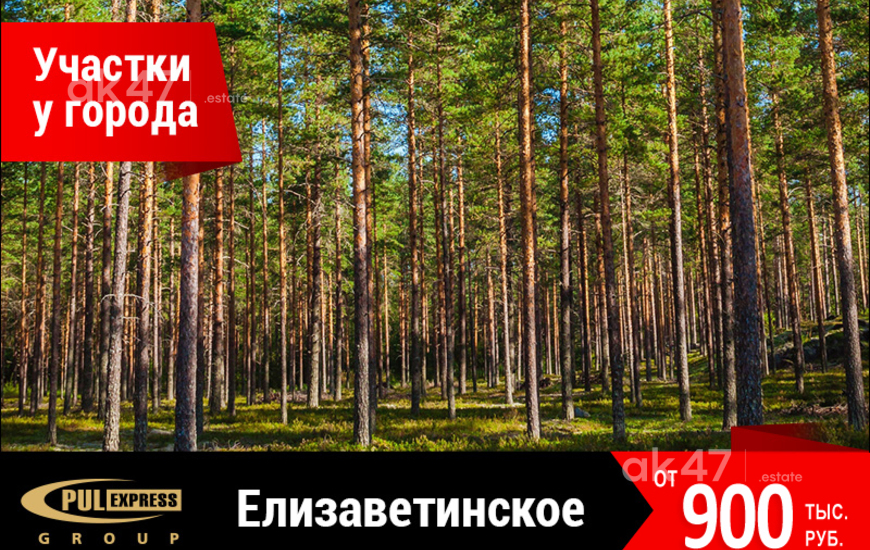 Елизаветинское