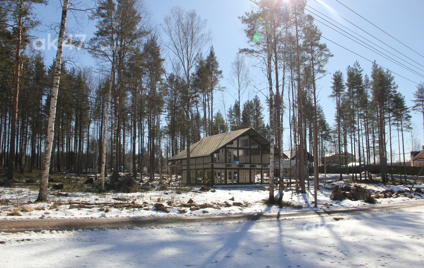 Liikola Club