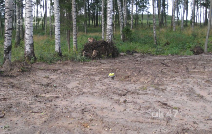 Солнечный берег